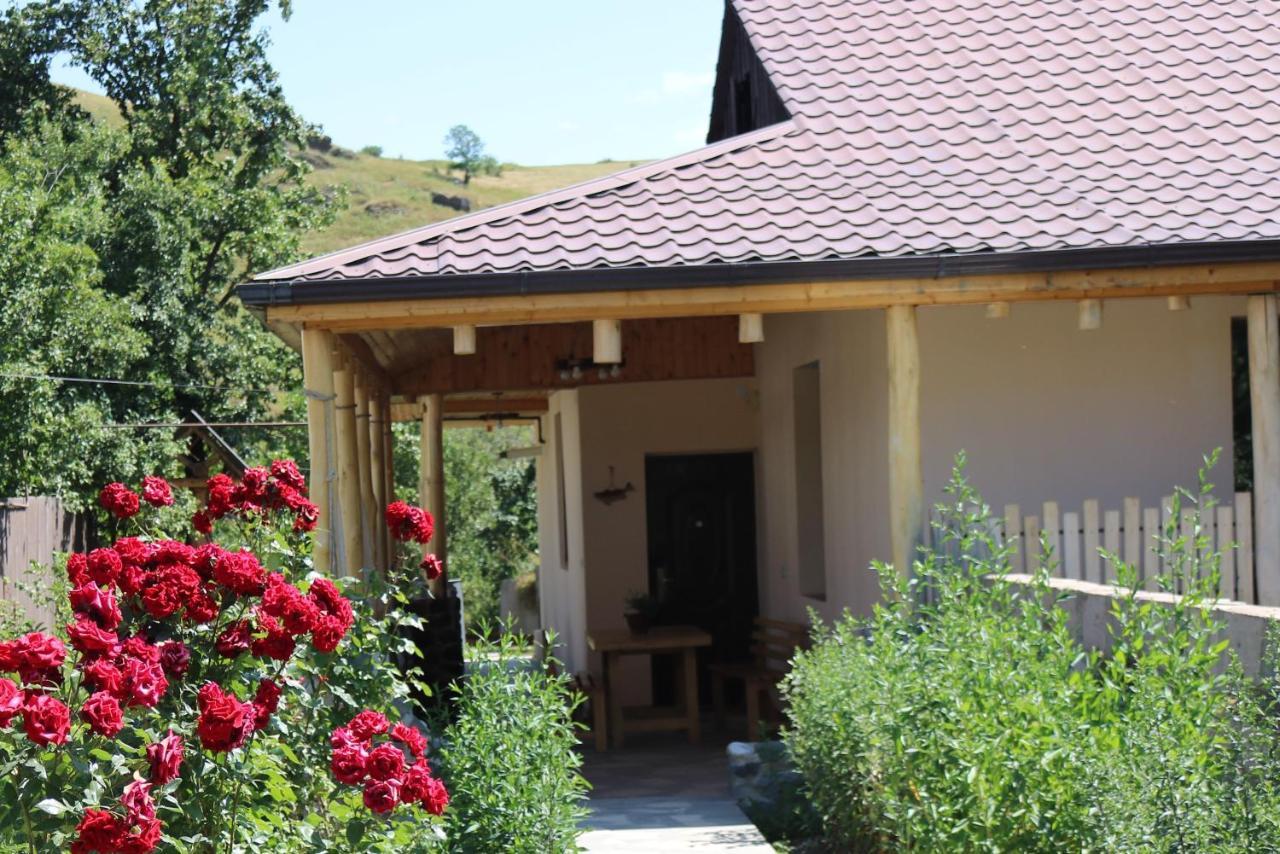 Villa Shamakhyan Dilijan Exterior photo