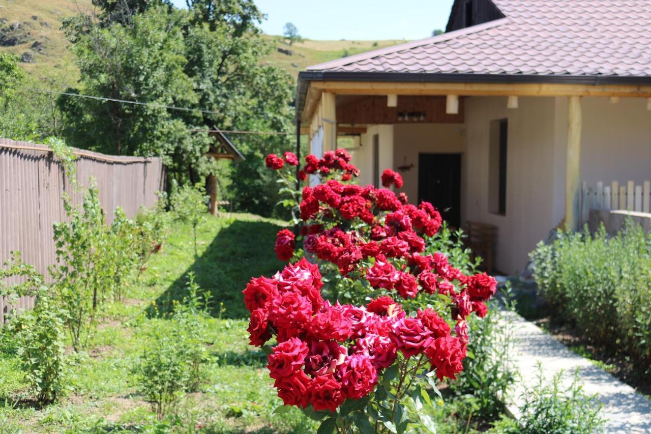 Villa Shamakhyan Dilijan Exterior photo